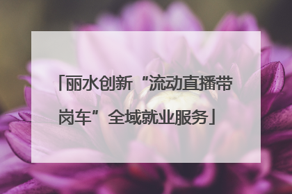 丽水创新“流动直播带岗车”全域就业服务