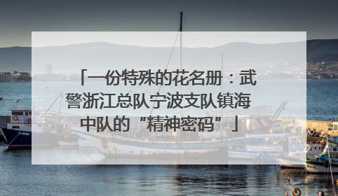 一份特殊的花名册：武警浙江总队宁波支队镇海中队的“精神密码”