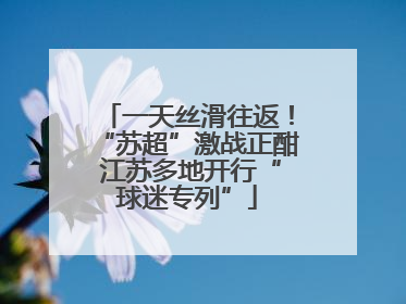 一天丝滑往返！“苏超”激战正酣 江苏多地开行“球迷专列”