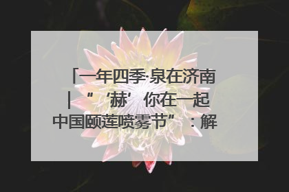 一年四季·泉在济南｜“‘赫’你在一起 中国颐莲喷雾节”：解锁济南夏日消费热潮中的国货新势力