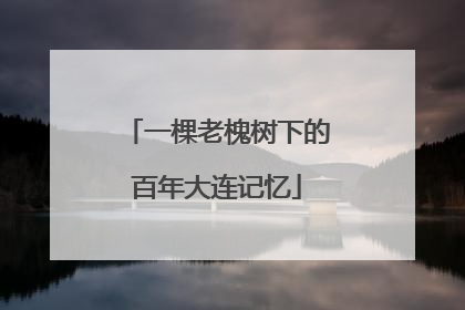 一棵老槐树下的百年大连记忆