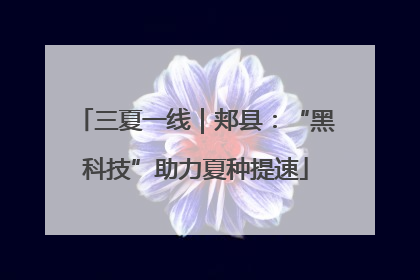 三夏一线｜郏县：“黑科技”助力夏种提速