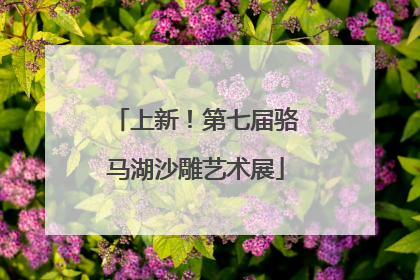 上新！第七届骆马湖沙雕艺术展