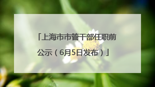 上海市市管干部任职前公示（6月5日发布）