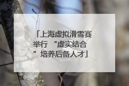 上海虚拟滑雪赛举行 “虚实结合”培养后备人才