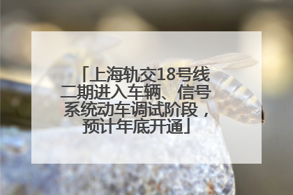 上海轨交18号线二期进入车辆、信号系统动车调试阶段，预计年底开通