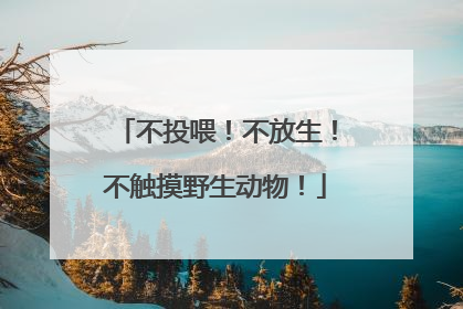 不投喂！不放生！不触摸野生动物！