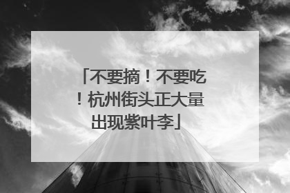 不要摘！不要吃！杭州街头正大量出现紫叶李