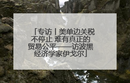 专访丨美单边关税不停止 难有真正的贸易公平——访波黑经济学家伊戈尔