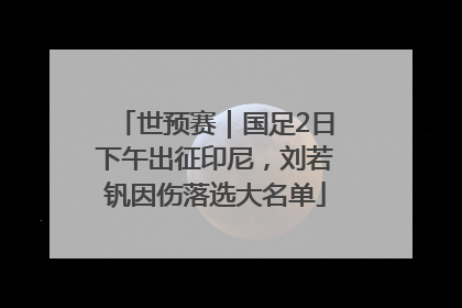 世预赛｜国足2日下午出征印尼，刘若钒因伤落选大名单