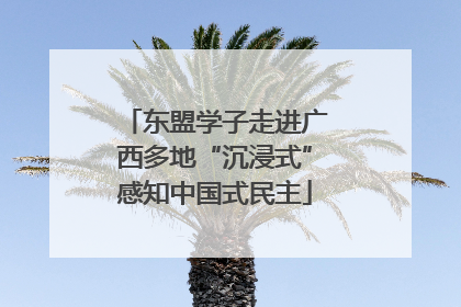 东盟学子走进广西多地“沉浸式”感知中国式民主