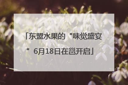 东盟水果的“味觉盛宴”6月18日在邕开启