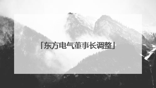 东方电气董事长调整