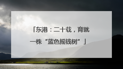 东港：二十载，育就一株“蓝色摇钱树”