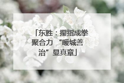 东胜：攥指成拳聚合力 “暖城善治”显真章