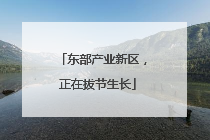 东部产业新区，正在拔节生长
