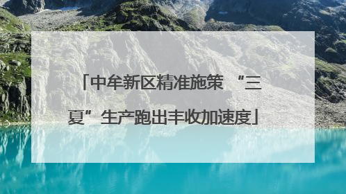 中牟新区精准施策 “三夏”生产跑出丰收加速度
