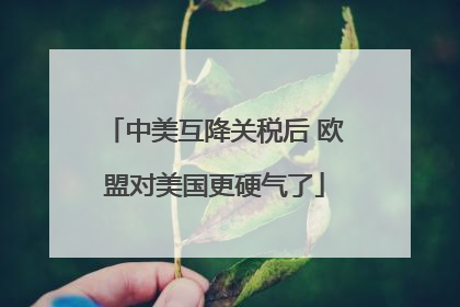 中美互降关税后 欧盟对美国更硬气了