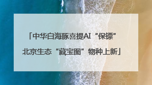 中华白海豚喜提AI“保镖” 北京生态“藏宝图”物种上新