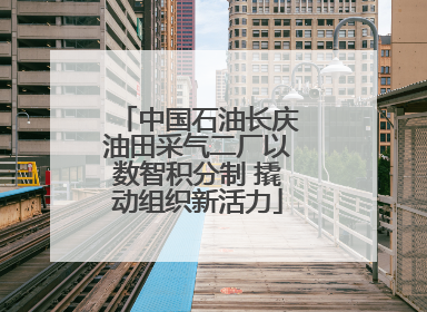 中国石油长庆油田采气二厂以数智积分制 撬动组织新活力