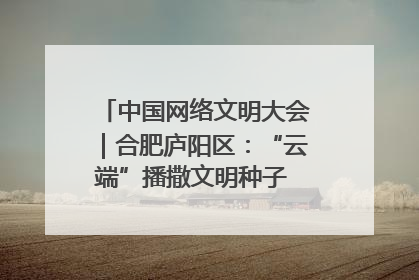 中国网络文明大会｜合肥庐阳区：“云端”播撒文明种子 共建清朗网络空间