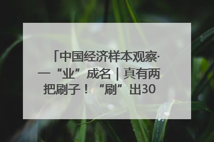 中国经济样本观察·一“业”成名｜真有两把刷子！“刷”出30亿级“颜值经济”
