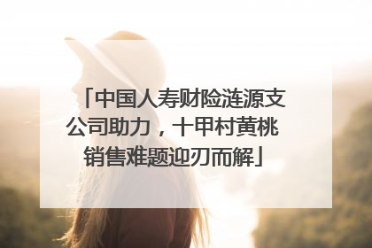 中国人寿财险涟源支公司助力，十甲村黄桃销售难题迎刃而解