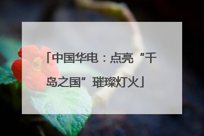 中国华电：点亮“千岛之国”璀璨灯火