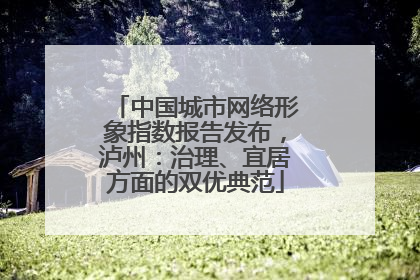 中国城市网络形象指数报告发布，泸州：治理、宜居方面的双优典范