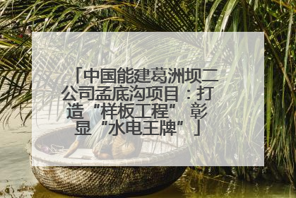中国能建葛洲坝二公司孟底沟项目：打造“样板工程” 彰显“水电王牌”
