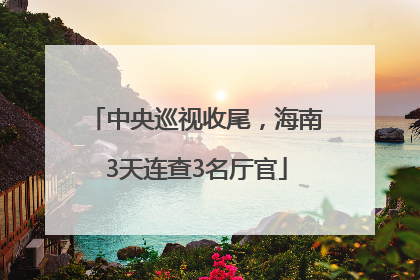 中央巡视收尾，海南3天连查3名厅官