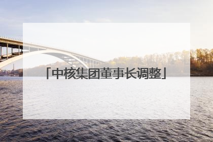 中核集团董事长调整