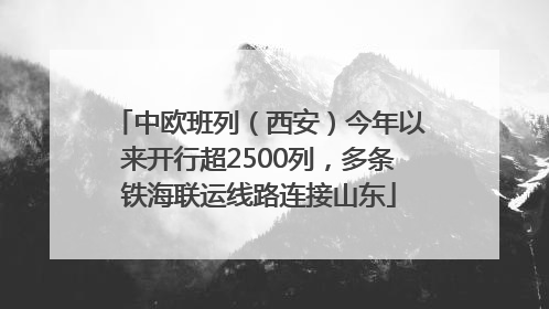中欧班列（西安）今年以来开行超2500列，多条铁海联运线路连接山东