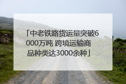 中老铁路货运量突破6000万吨 跨境运输商品种类达3000余种
