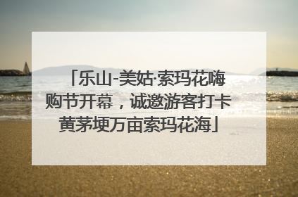 乐山-美姑·索玛花嗨购节开幕，诚邀游客打卡黄茅埂万亩索玛花海