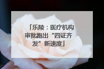 乐陵：医疗机构审批跑出“四证齐发”新速度