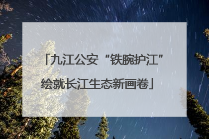 九江公安“铁腕护江”绘就长江生态新画卷