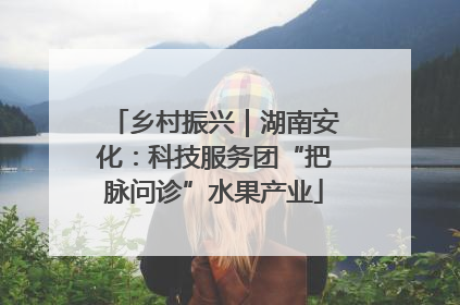 乡村振兴｜湖南安化：科技服务团“把脉问诊”水果产业