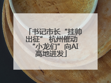 书记市长“挂帅出征” 杭州催动“小龙们”向AI高地进发