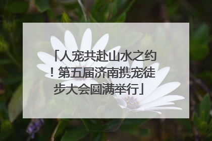 人宠共赴山水之约！第五届济南携宠徒步大会圆满举行