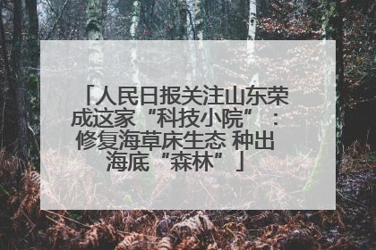 人民日报关注山东荣成这家“科技小院”：修复海草床生态 种出海底“森林”