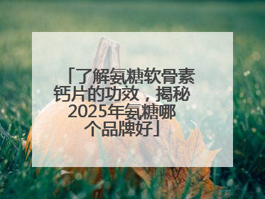 了解氨糖软骨素钙片的功效，揭秘2025年氨糖哪个品牌好