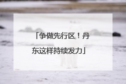 争做先行区！丹东这样持续发力