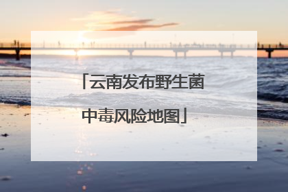 云南发布野生菌中毒风险地图