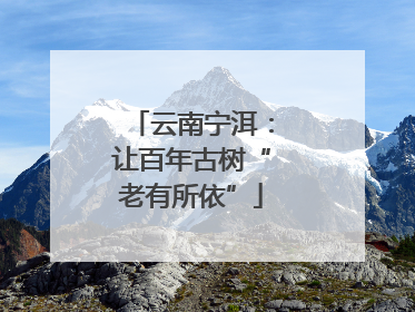 云南宁洱：让百年古树“老有所依”