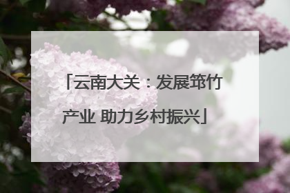 云南大关：发展筇竹产业 助力乡村振兴