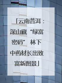 云南普洱：深山藏“绿富密码” 林下中药材长出致富新图景