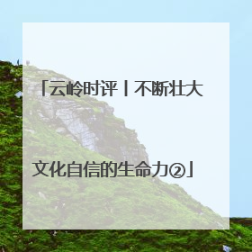 云岭时评丨不断壮大文化自信的生命力②