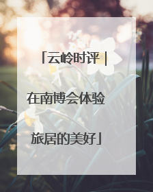 云岭时评｜在南博会体验旅居的美好