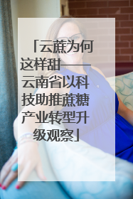 云蔗为何这样甜——云南省以科技助推蔗糖产业转型升级观察